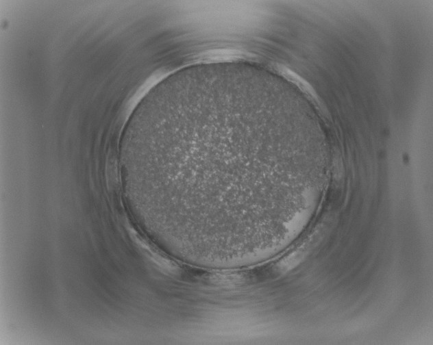 X0000074031473200609111701