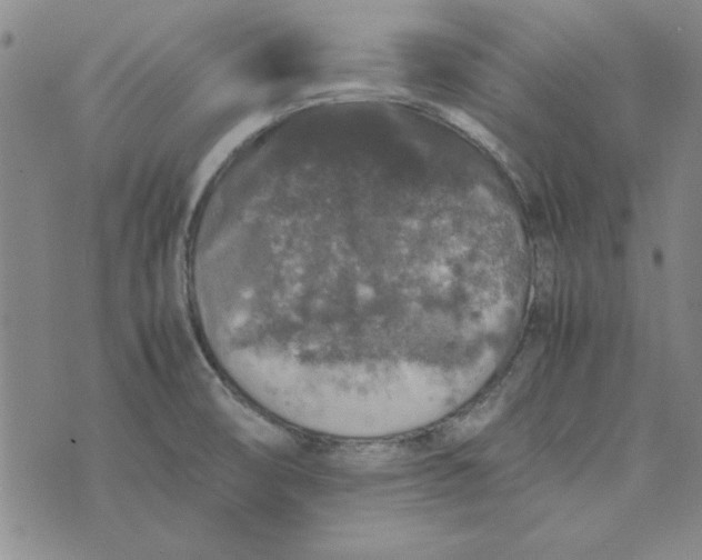 X0000074031474200609111701