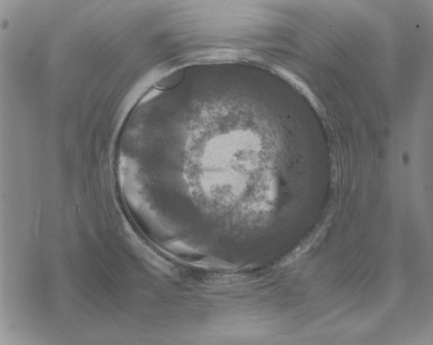 X0000074031475200609111701