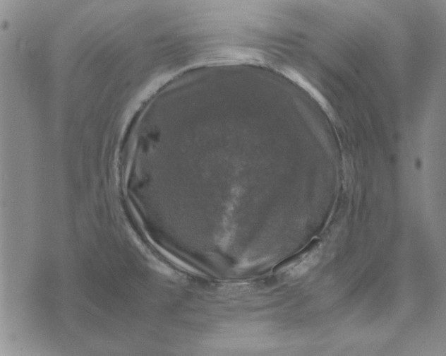 X0000074031477200609111701