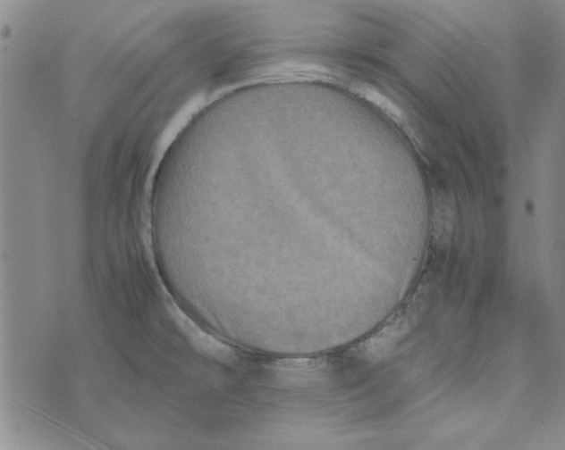 X0000074031478200609111701