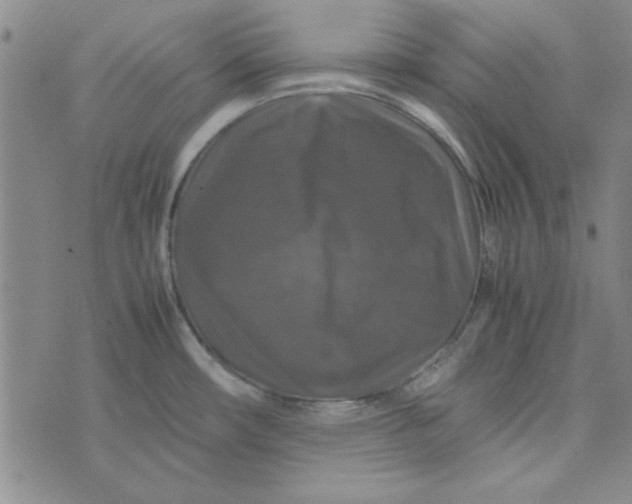 X0000074031482200609111701