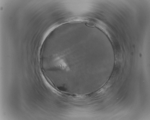 X0000074031483200609111701