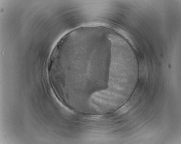 X0000074031484200609111701