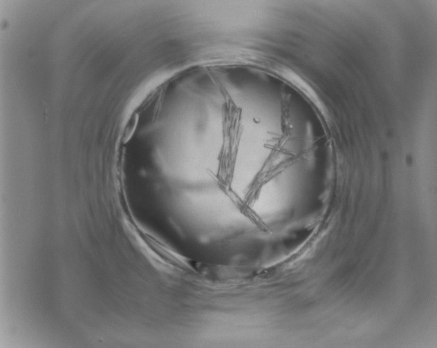 X0000074031485200609111701