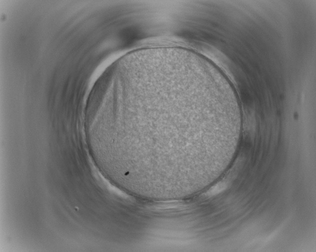 X0000074031486200609111701