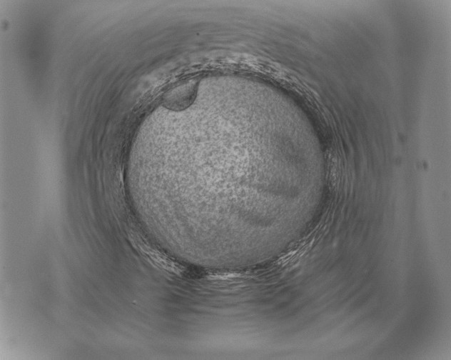 X0000074031489200609111700