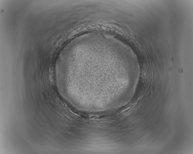 X0000074031490200609111700