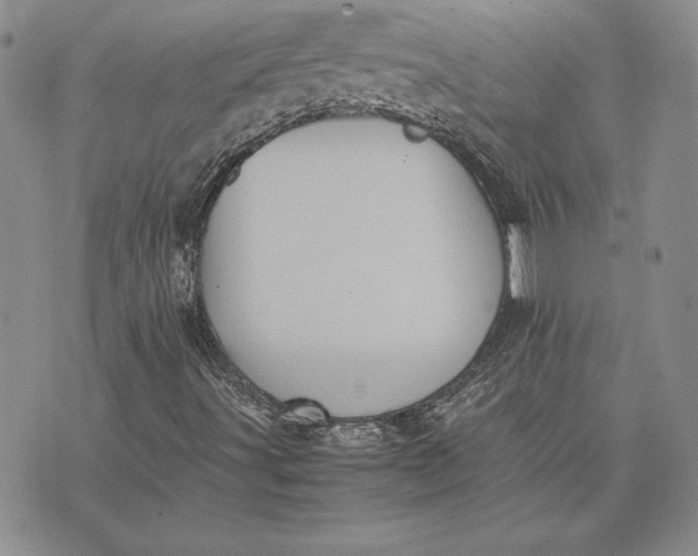 X0000074031491200609111700