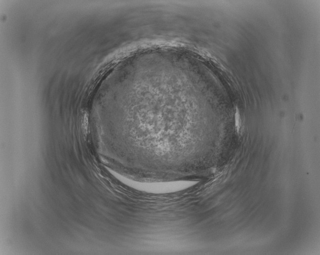 X0000074031492200609111700