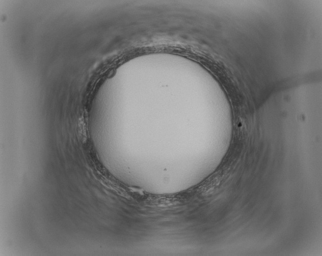 X0000074031493200609111700