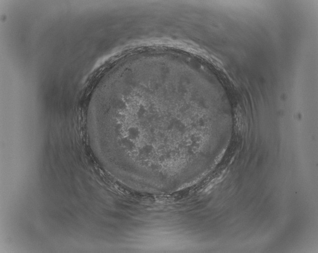 X0000074031494200609111700