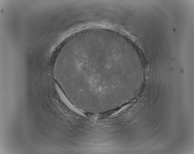 X0000074031496200609111700