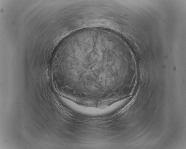 X0000074031497200609111700