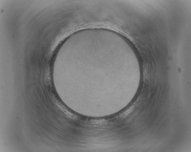 X0000074031498200609111700