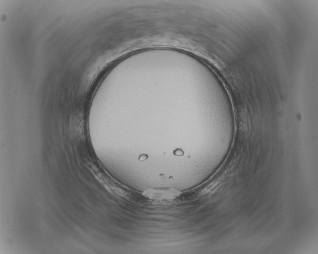 X0000074031499200609111700