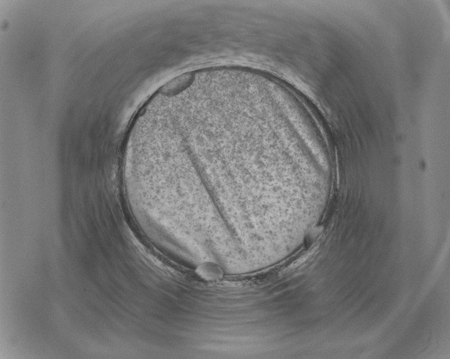 X0000074031500200609111700