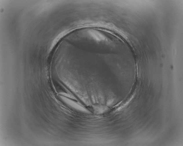 X0000074031501200609111700