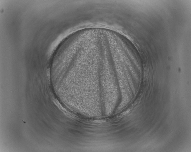 X0000074031503200609111700