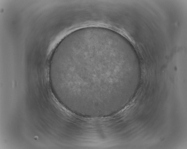 X0000074031504200609111700