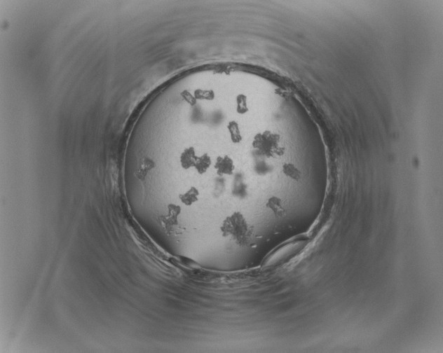 X0000074031505200609111700