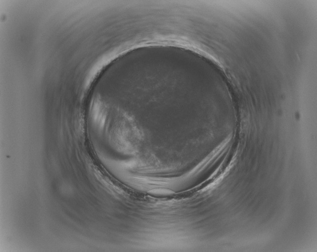 X0000074031506200609111700