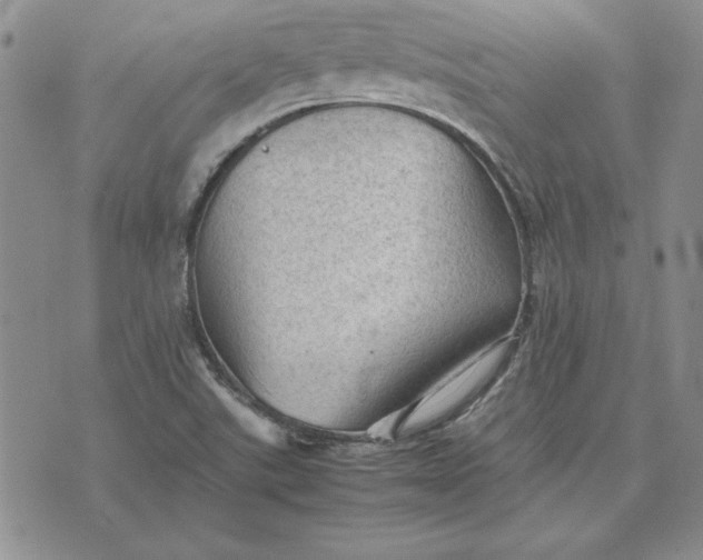 X0000074031507200609111700