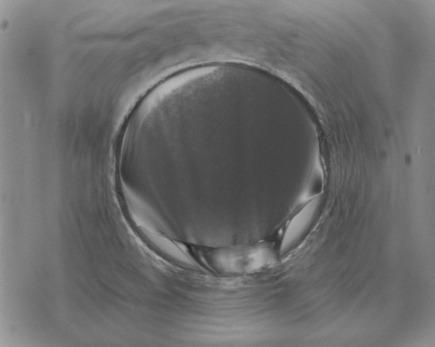 X0000074031508200609111700