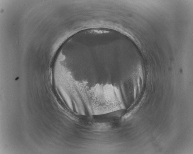 X0000074031509200609111701