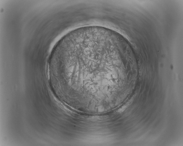 X0000074031510200609111701