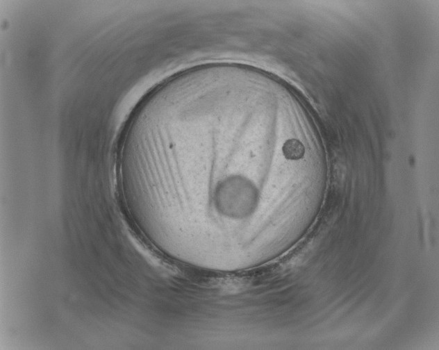 X0000074031511200609111701