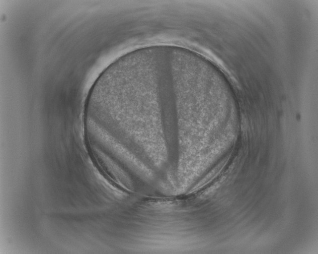 X0000074031512200609111701