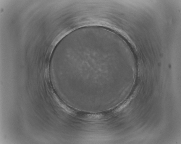 X0000074031513200609111701