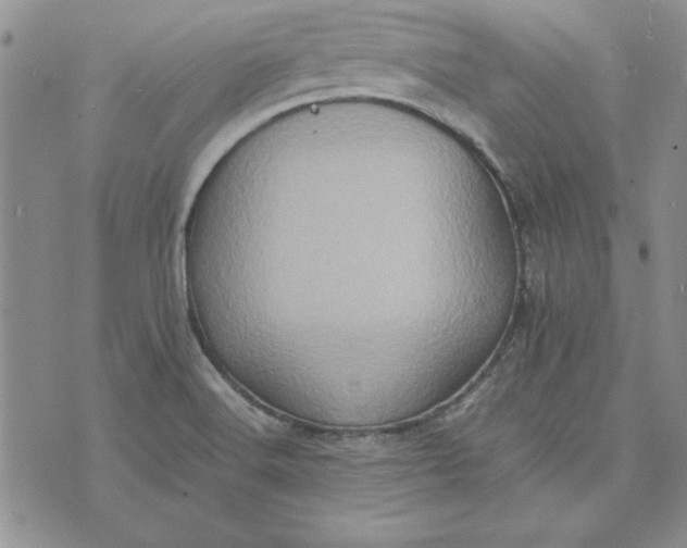 X0000074031516200609111701