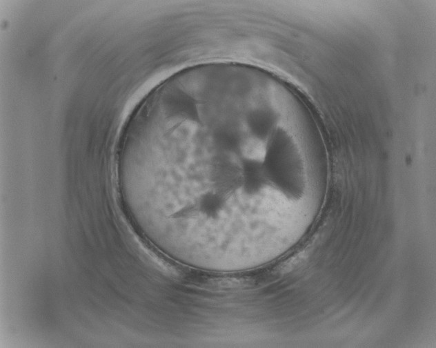 X0000074031517200609111701