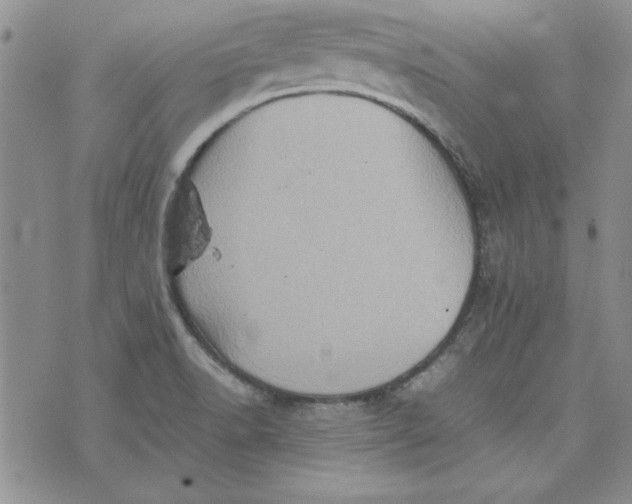 X0000074031518200609111701