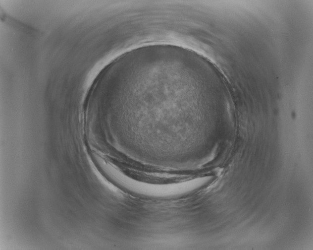 X0000074031519200609111701