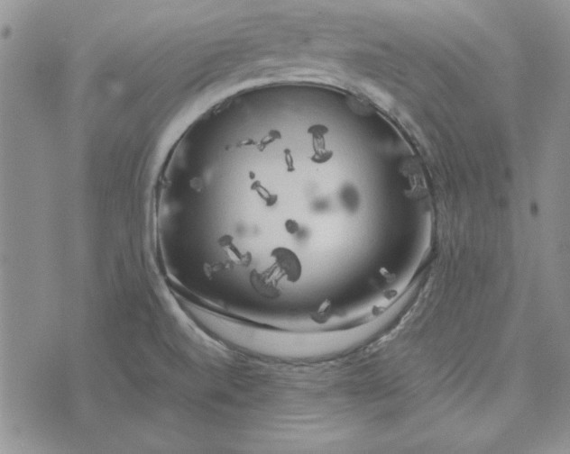 X0000074031520200609111701