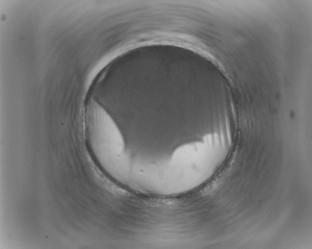 X0000074031522200609111701