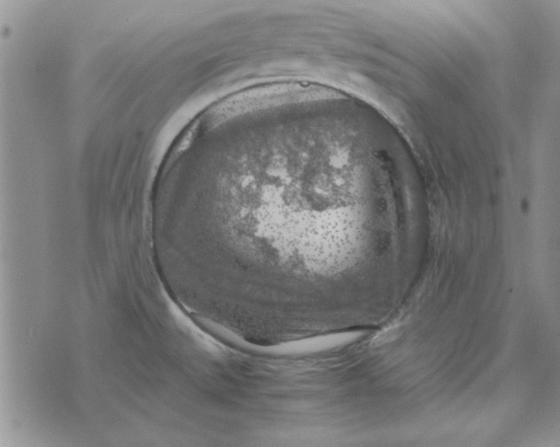 X0000074031527200609111701