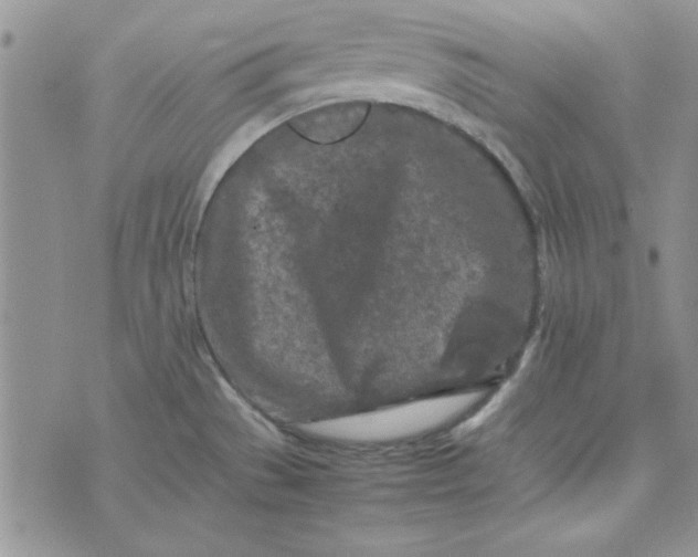 X0000074031529200609111701