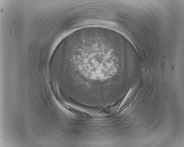 X0000074031531200609111701