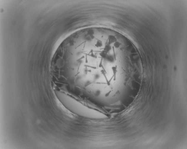 X0000074031532200609111701