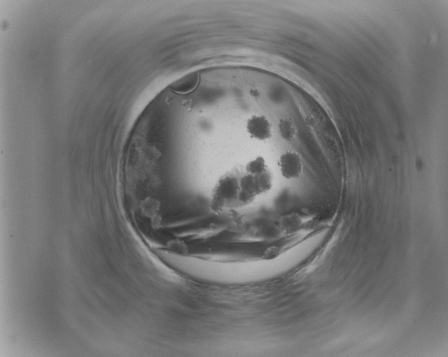 X0000074031533200609111701