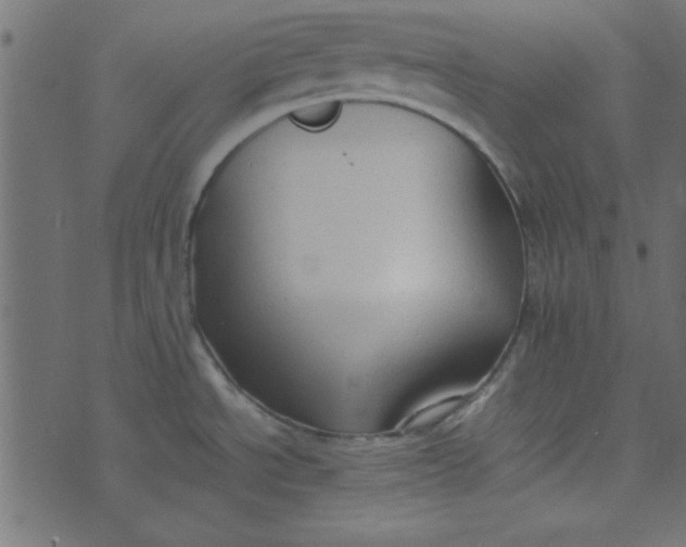 X0000074031534200609111701