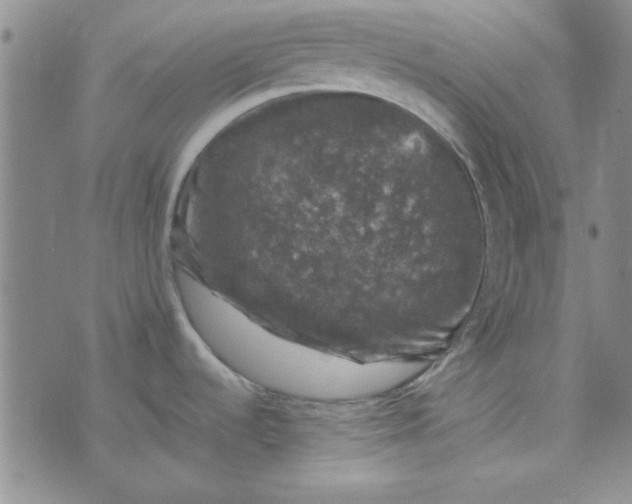 X0000074031536200609111701