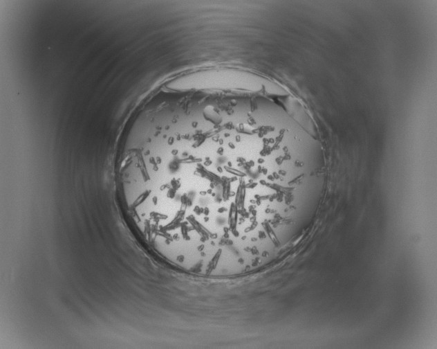 X0000074030002200609181939