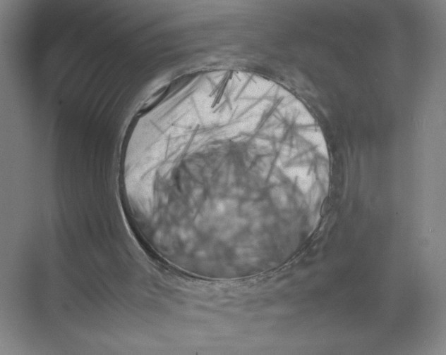 X0000074030003200609181938