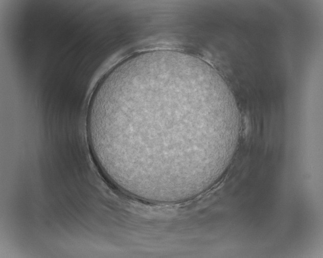 X0000074030004200609181938