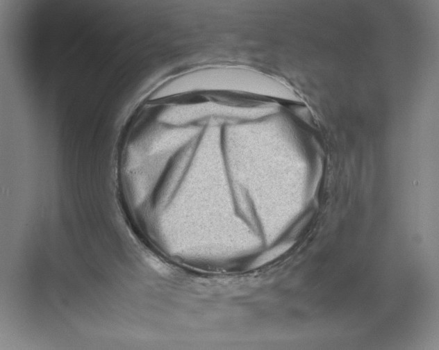 X0000074030005200609181938